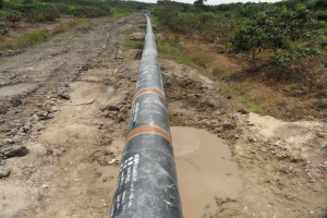 广西液化天然气（LNG）输气管道工程（劳务合作）
